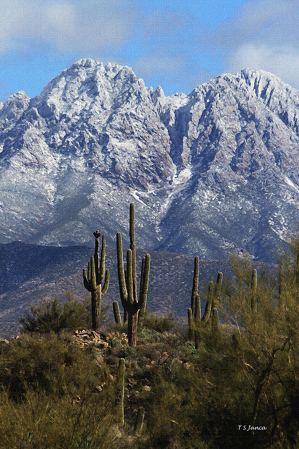 Two Of Four Peaks With Snow And Saguraos Photograph by Tom Janca