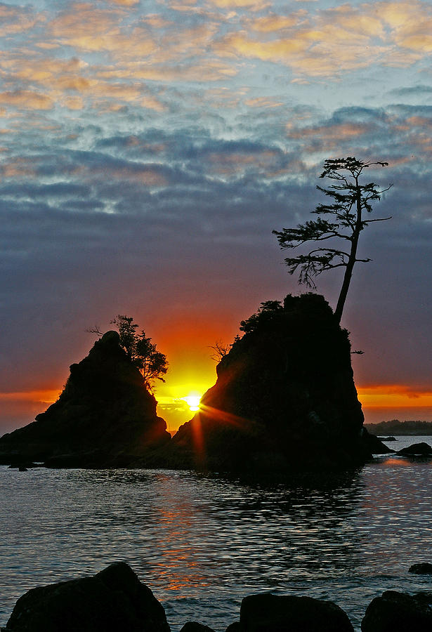 Two of the Three Graces in Garibaldi Oregon Photograph by Ulrich Burkhalter