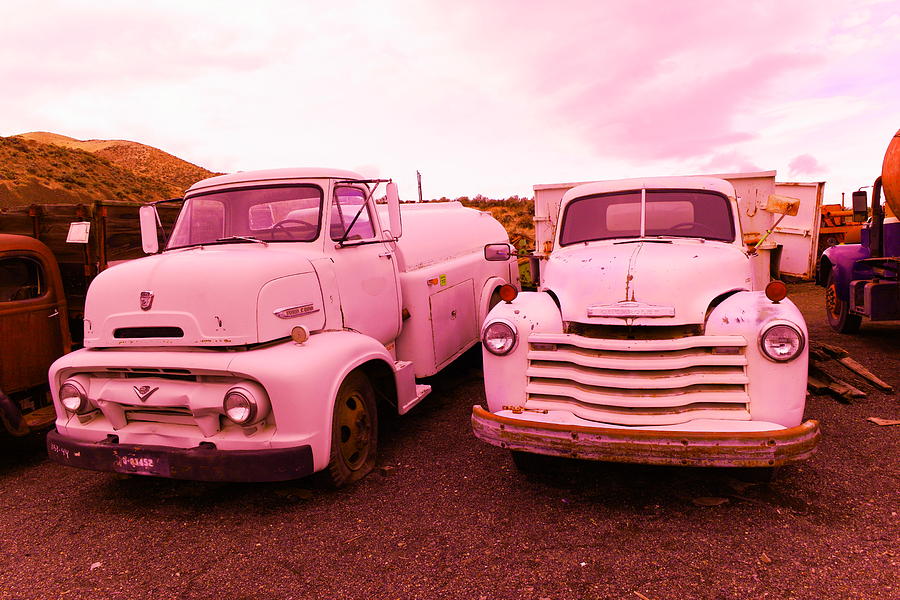 Two old beauties  Photograph by Jeff Swan