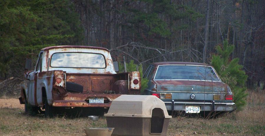 Two Old Fords and a Dog House Photograph by Ali Baucom