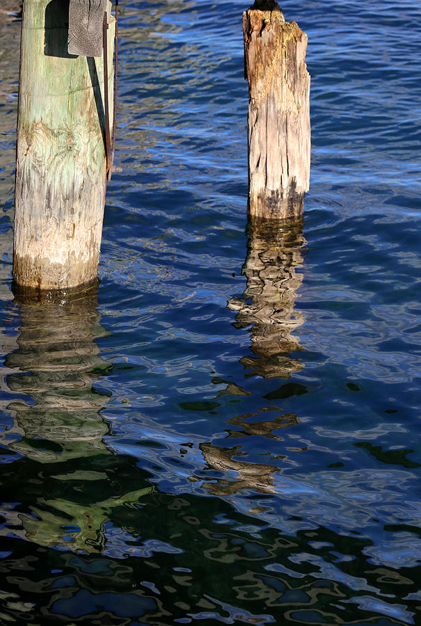 Two Old Pilings 2 Photograph by Mary Bedy