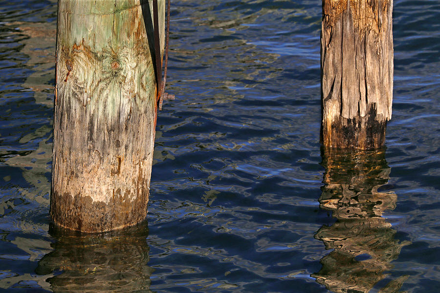 Two Old Pilings 3 Photograph by Mary Bedy