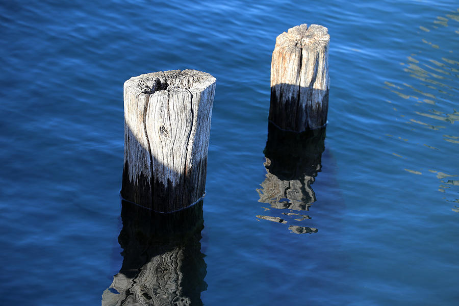 Two Old Pilings with Reflections 2 Photograph by Mary Bedy