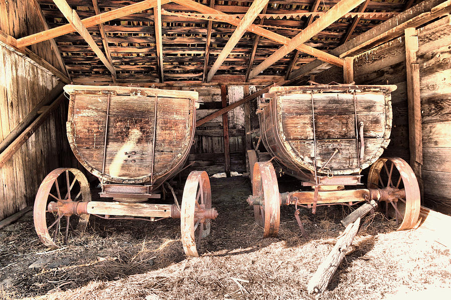 Two Old Wagons Photograph