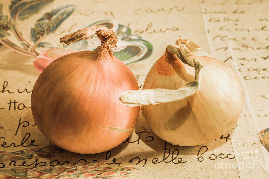 Two onions on recipe paper Photograph by Jorgo Photography