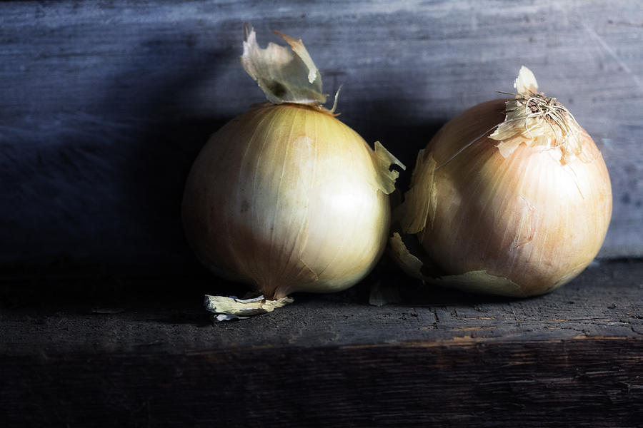 Two Onions Digital Art by Terry Davis