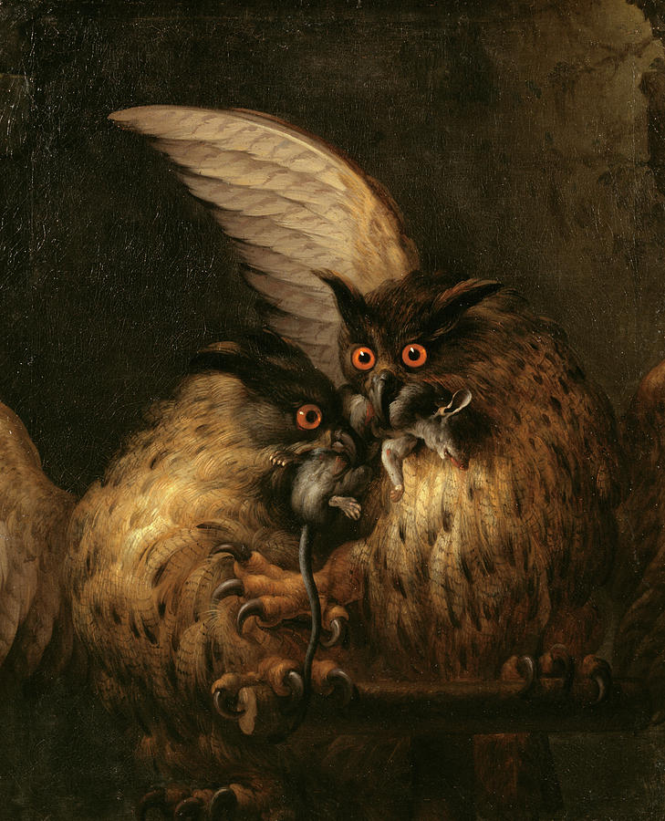 Owl Painting - Two Owls Fighting over a Rat by Hans Georg Muller