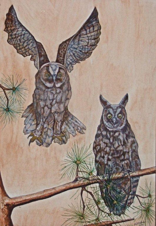 Bird Painting - Two Owls by Willie McNeal