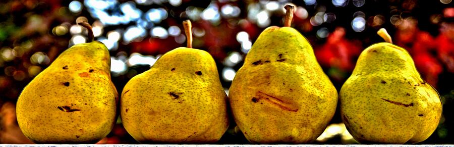 Two Pairs Four Pears Photograph by DJ Florek