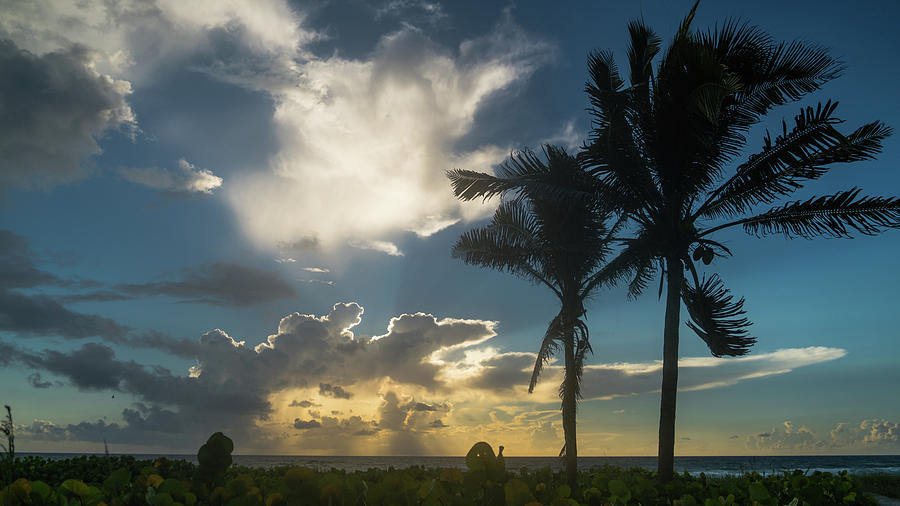 Two Palm Sunrise Delray Beach Florida Photograph by Lawrence S Richardson Jr