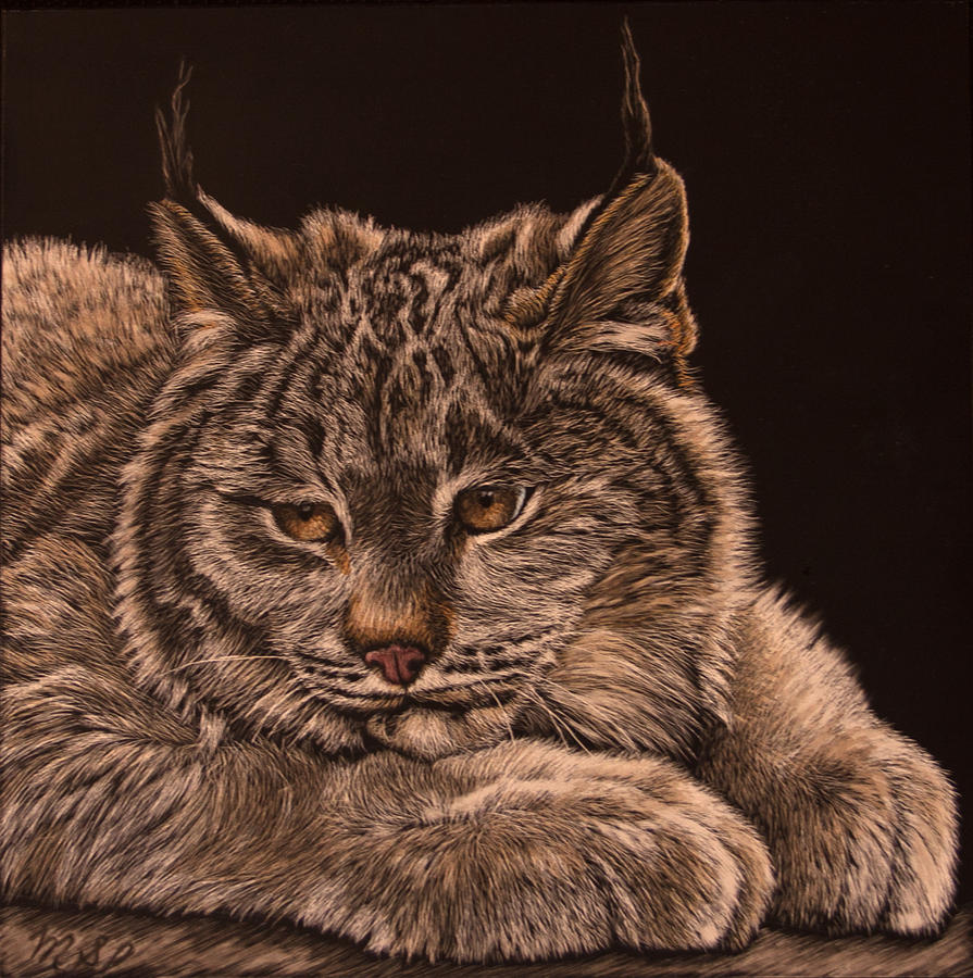 Two Paws Down Painting by Margaret Sarah Pardy
