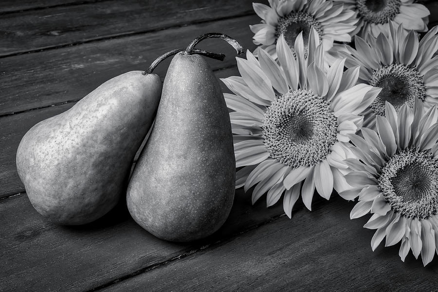 Pear Photograph - Two Pears And Sunflowers by Garry Gay