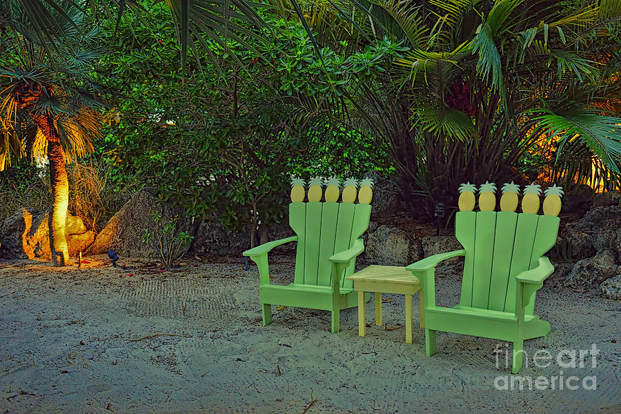 Two Pineapple Chairs Photograph by Olga Hamilton