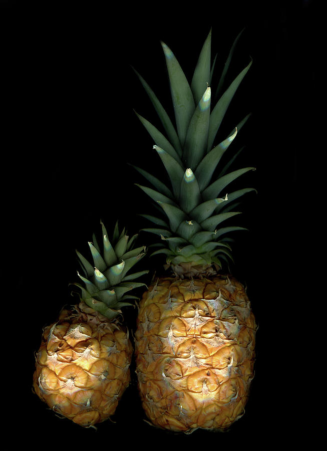 Pineapple Photograph - Two Pineapples by Jessie Snyder
