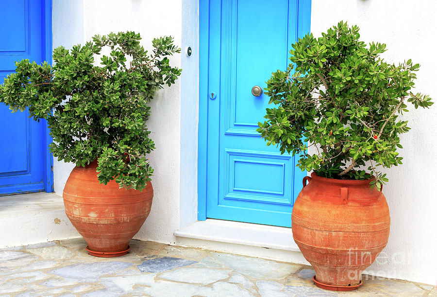 Two Plants by the Blue Door in Mykonos Photograph by John Rizzuto