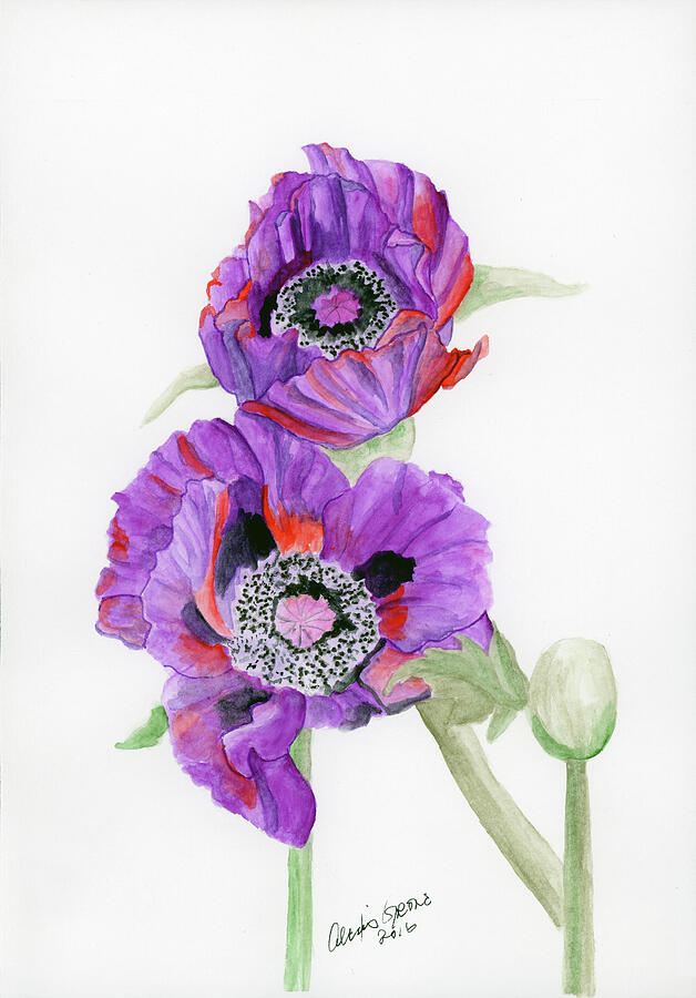 Flower Painting - Two Poppies by Alexis Grone