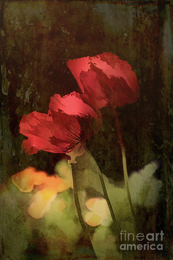 Two Poppies Painting by Elaine Teague