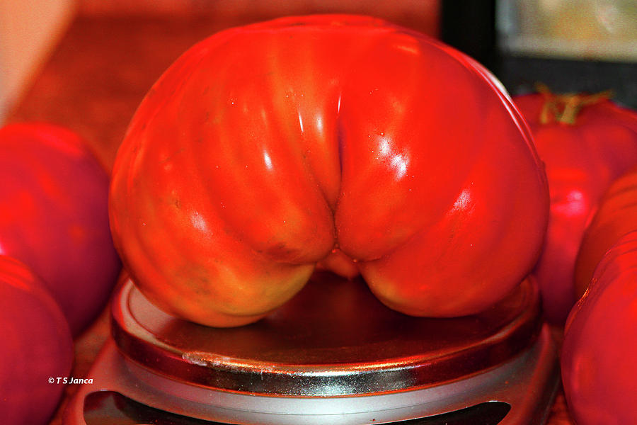 Two Pound Tomato Digital Art by Tom Janca
