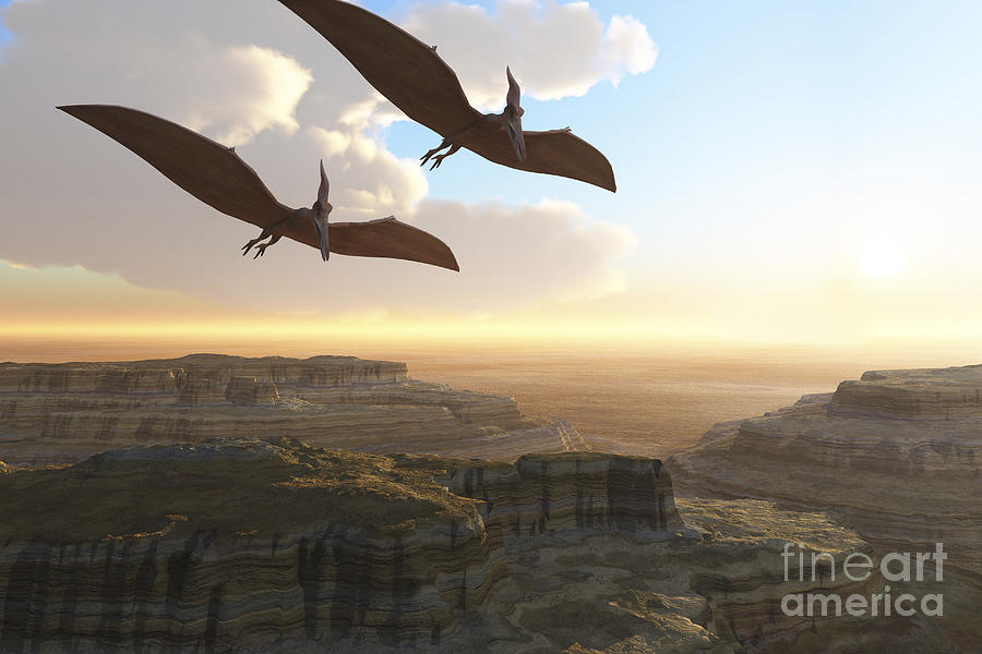 Dinosaur Digital Art - Two Pterodactyl Flying Dinosaurs Soar by Corey Ford