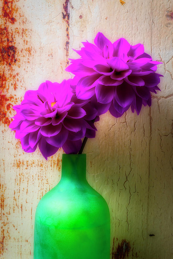 Two Purple Dahlias In Green Vase Photograph by Garry Gay
