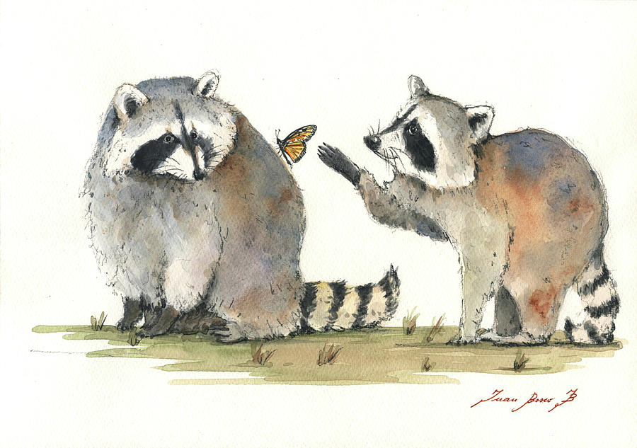 Raccoon Painting - Two Raccoons by Juan Bosco