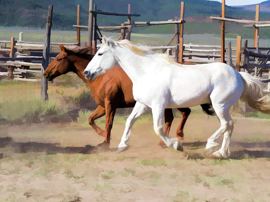 Two Ranch Horses Galloping into the Corrals by Nadja Rider Two Ranch Horses Galloping into the Corrals by Nadja Rider