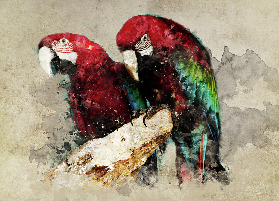Two red ara parrots on the branch Painting by Jaroslaw Blaminsky