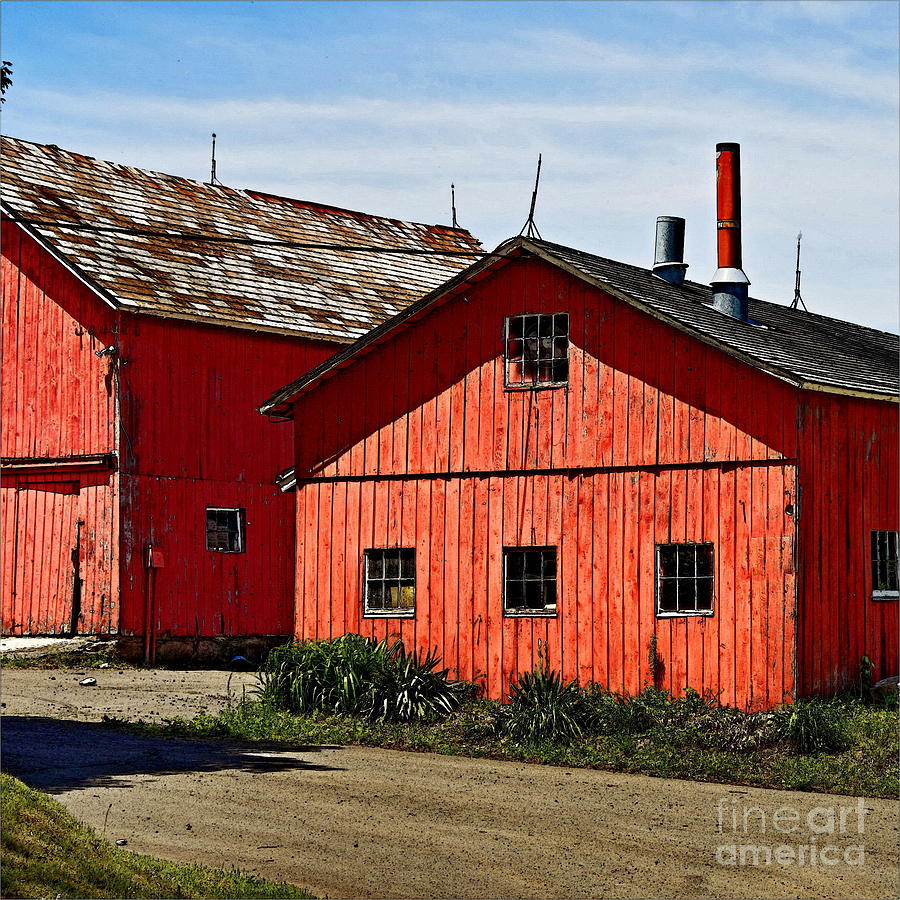 Barn Photograph - Two Red Barns by Marcel  J Goetz  Sr