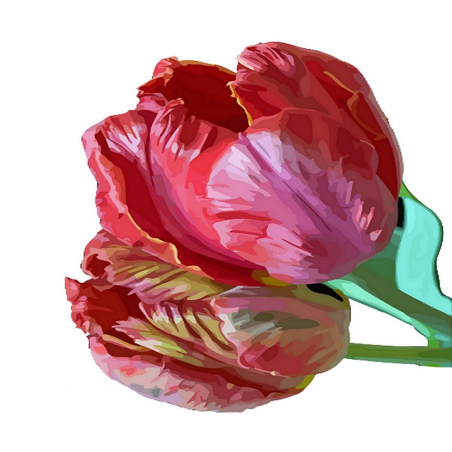 Two Red Tulips Vector Isolated Photograph by Taiche Acrylic Art