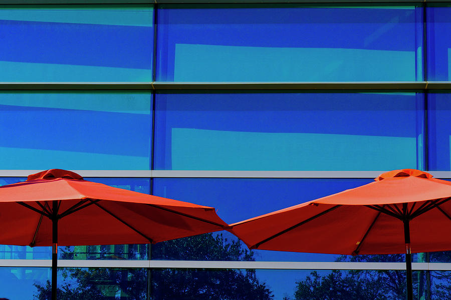 Two Red Umbrellas Photograph by Steve Gravano