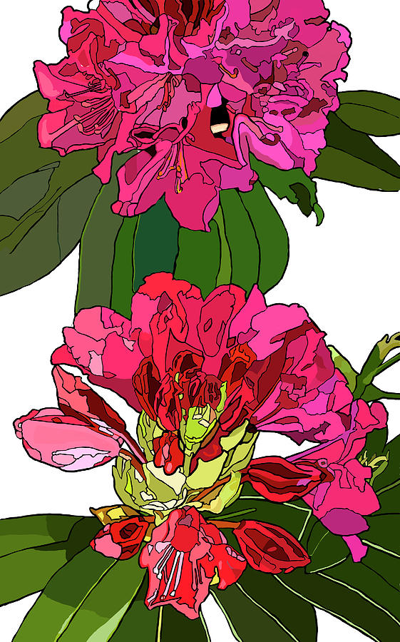 Two Rhododendrons Painting by Jamie Downs