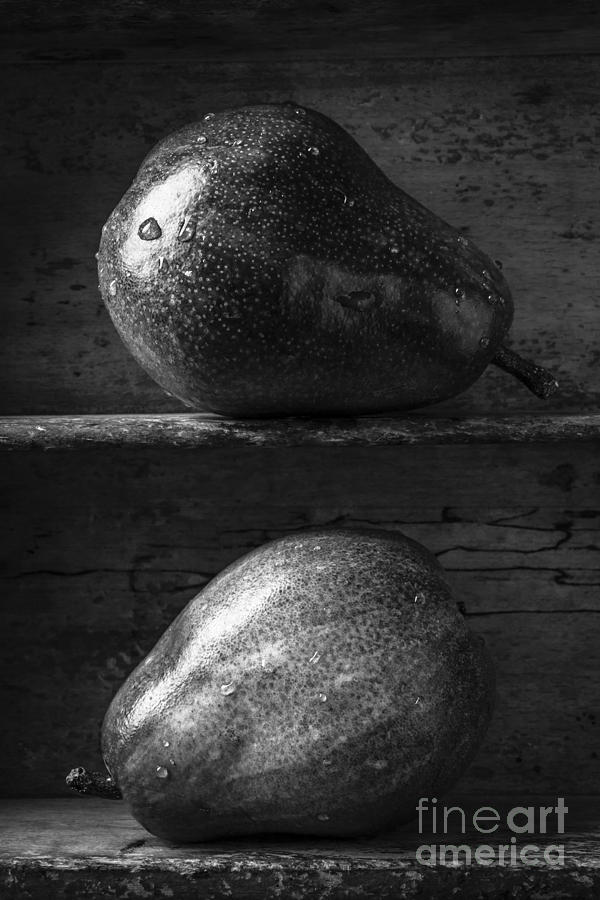 Fruit Photograph - Two Ripe Pears in Black and White by Edward Fielding