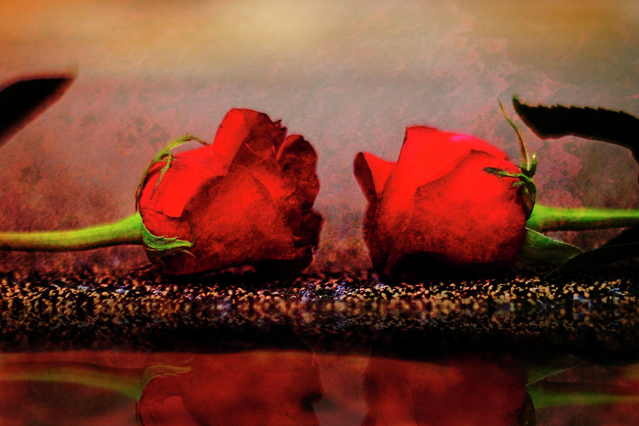 Two Roses Photograph by Deon Grandon Two Roses Photograph by Deon Grandon