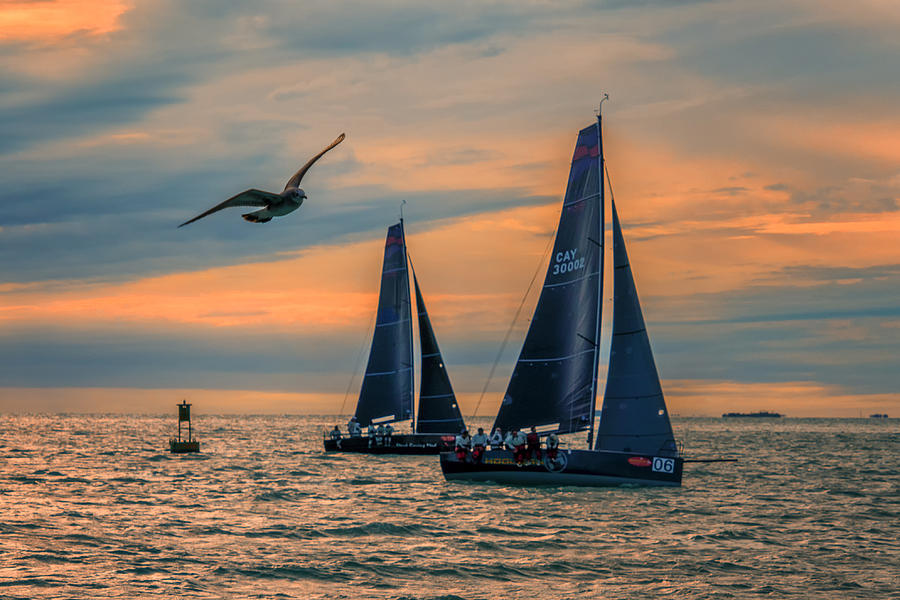 Two Sailboats and Seagull Sunset Key West Florida DSC01273_16 Photograph by Greg Kluempers