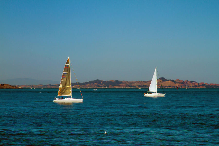 Two Sailboats on the Bay Photograph by Bonnie Follett