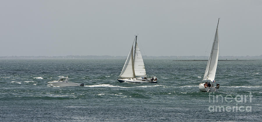 sailboats sailing into the wind