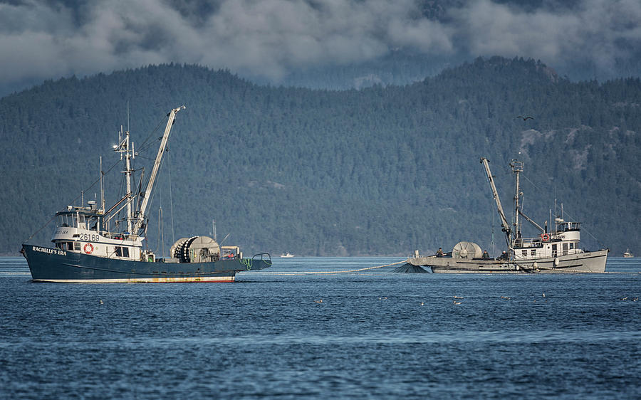 Two Seiners Photograph by Randy Hall