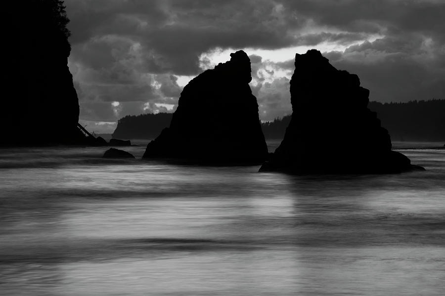 Two Sentinels in Black and White Photograph by David Lunde
