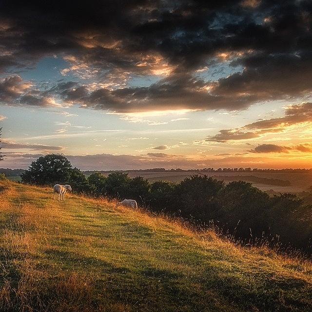 Sheep Photograph - Two Sheep At Sunset #landscape #sheep by Tobias King