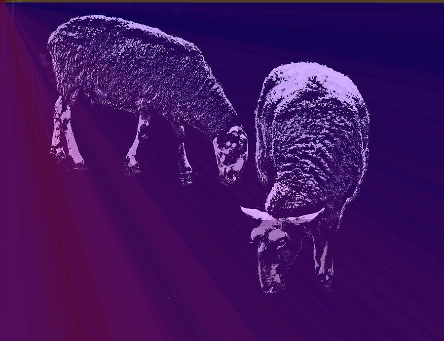 Two Sheep Digital Art by Ian  MacDonald