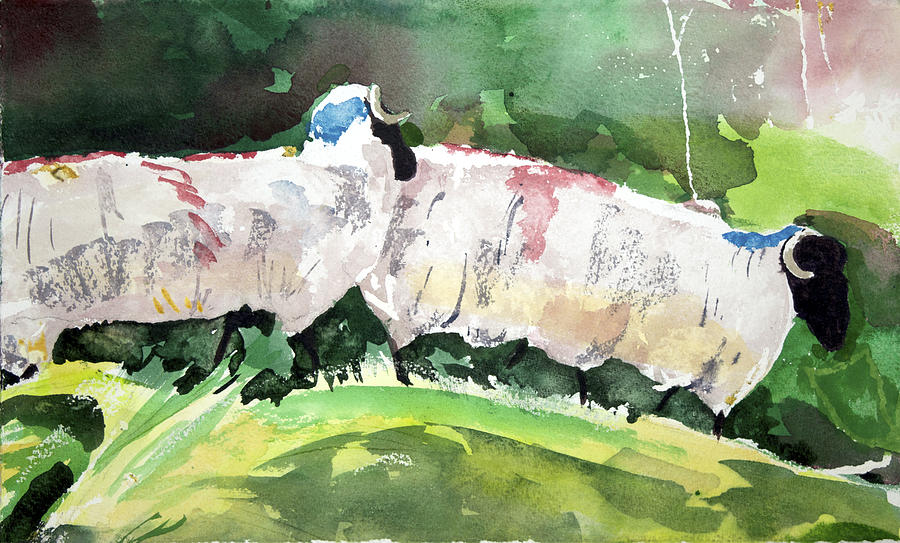 Two Sheep Painting by Kathleen Barnes
