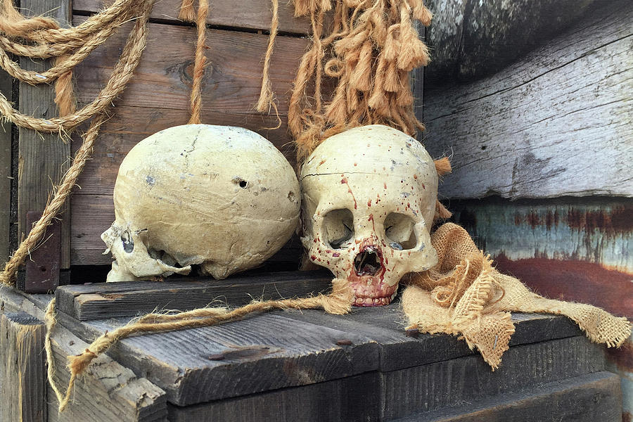 Two Skullls Photograph by Art Block Collections