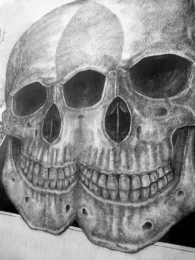 Two Skulls ... Photograph by Juergen Weiss