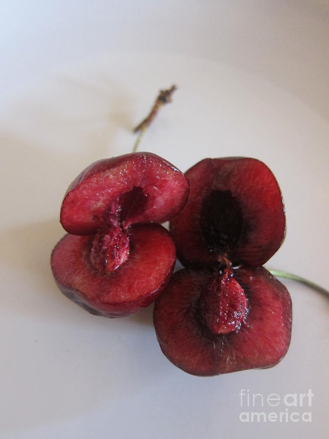 Two Sliced Cherries Photograph by Funmi Adeshina