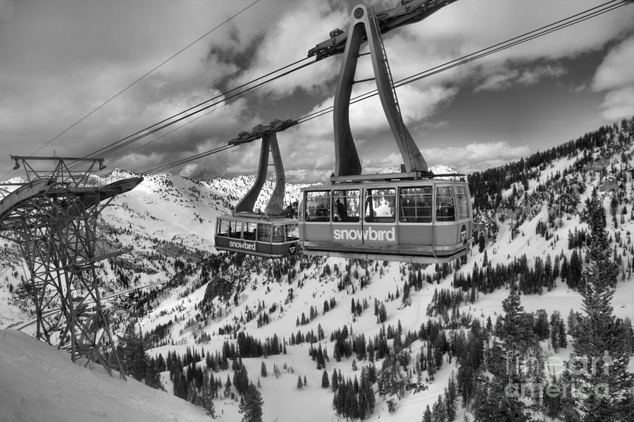 Two Snowird Trams Black And White Photograph by Adam Jewell