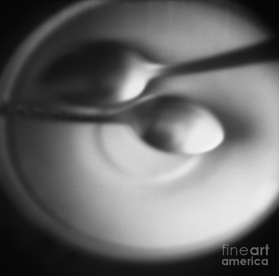 Two spoons is a photograph by Andrey Godyaykin which was uploaded on Octobe...