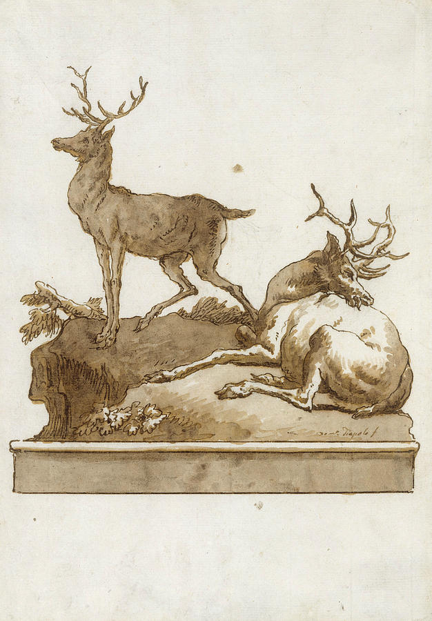 Two Stags, One Standing and One Lying, on a Grassy Knoll Drawing by Giovanni Domenico Tiepolo
