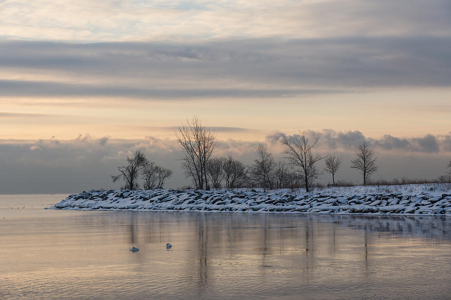 Wildlife Photograph - Two Swans Sleeping - Serene Winter Lake Scene by Georgia Mizuleva