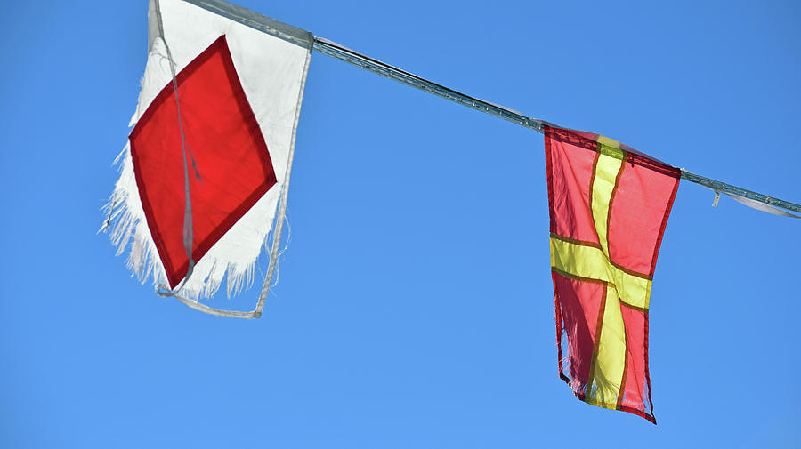 Two Tattered Flags Photograph by Sandy Taylor
