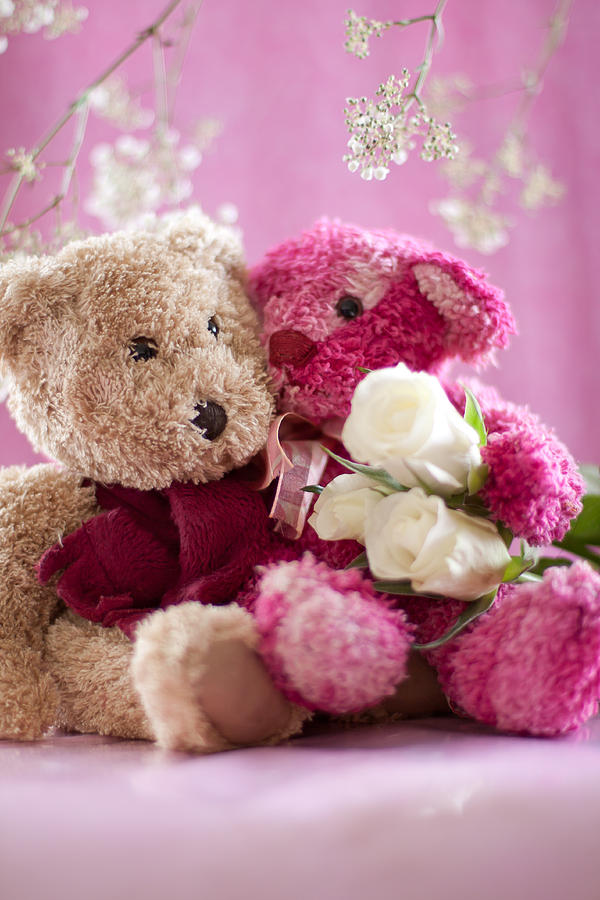 pink roses with teddy bear